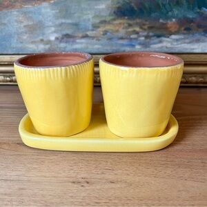 Pottery Barn Small Yellow Planter Set (Set 1)